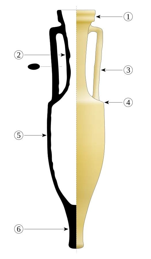 Line drawing of a Roman Dressel 1B wine amphora, used to explain how vessel types align with chemical residue results.