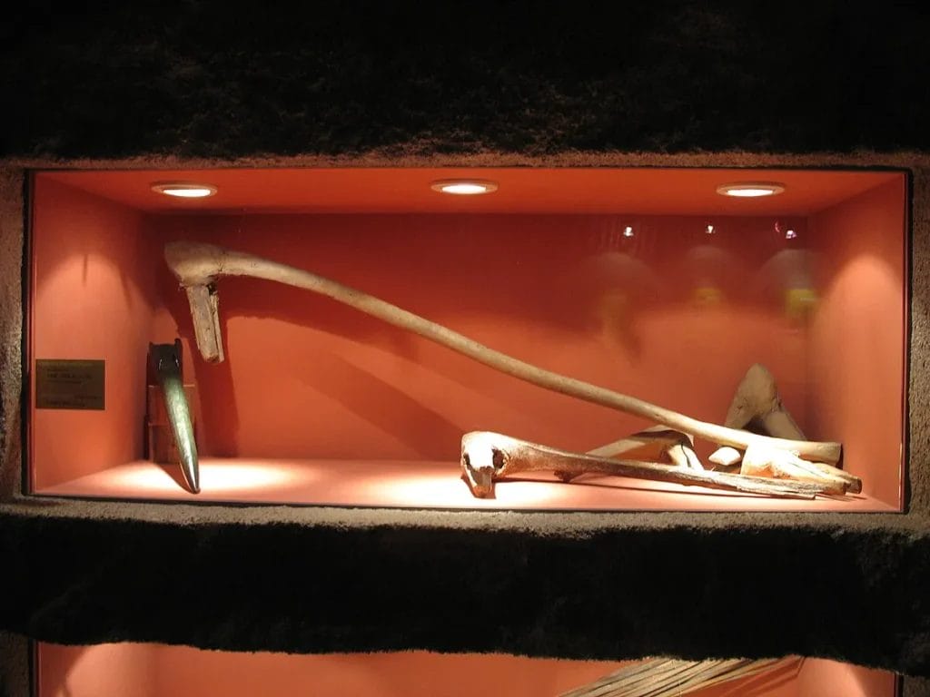 Wooden shafts of pickaxes and other tools for salt mining from the Hallstatt culture.