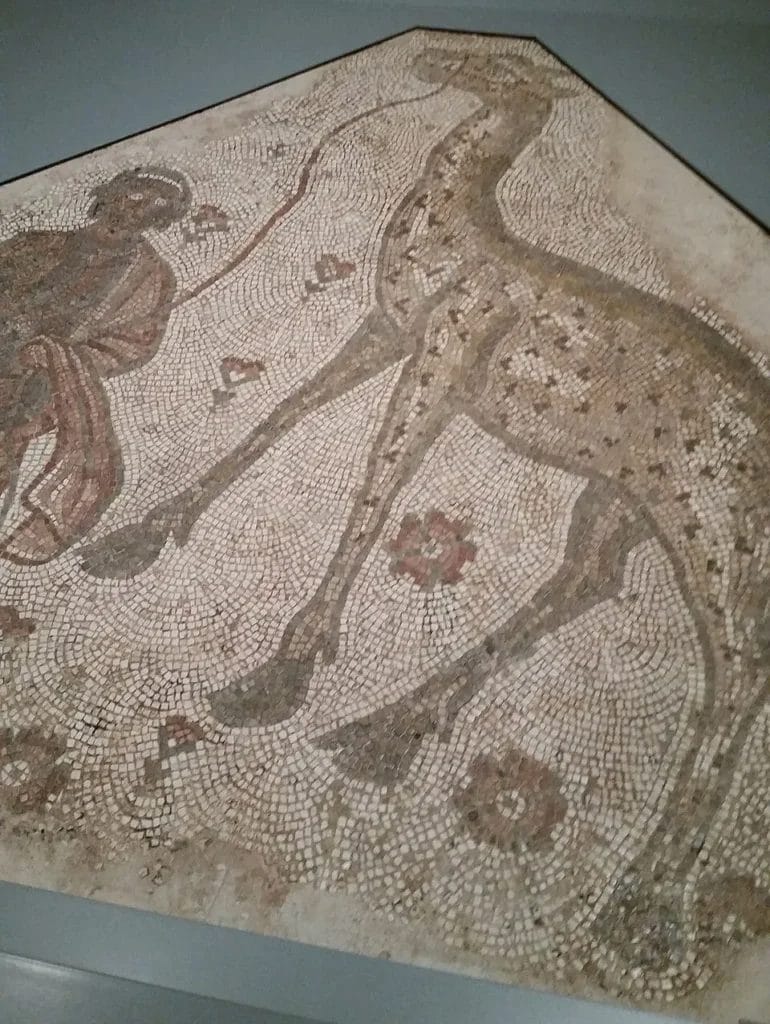 Late antique mosaic showing a handler with a giraffe.