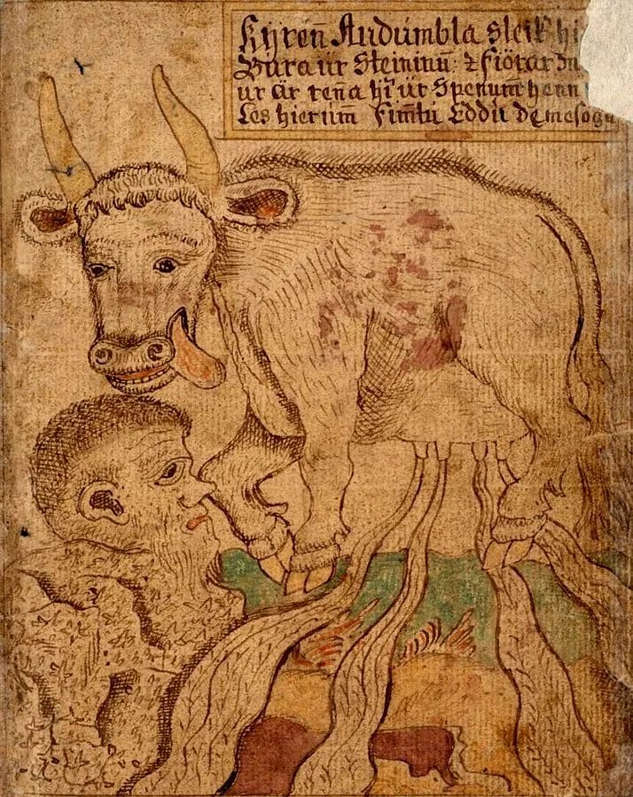 Audhumla licking Buri from rime in manuscript