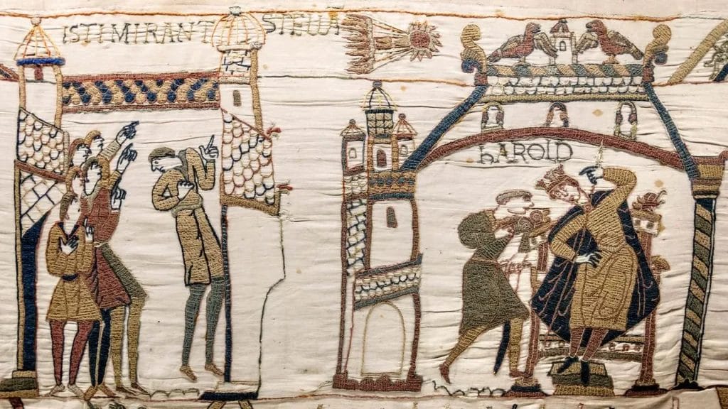 Bayeux Tapestry scene logistics movement of goods and plunder in war