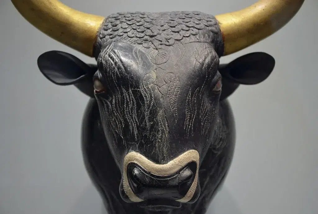 Detailed view of a carved bull’s-head libation vessel from Knossos used to illustrate ceremony around bull performances.