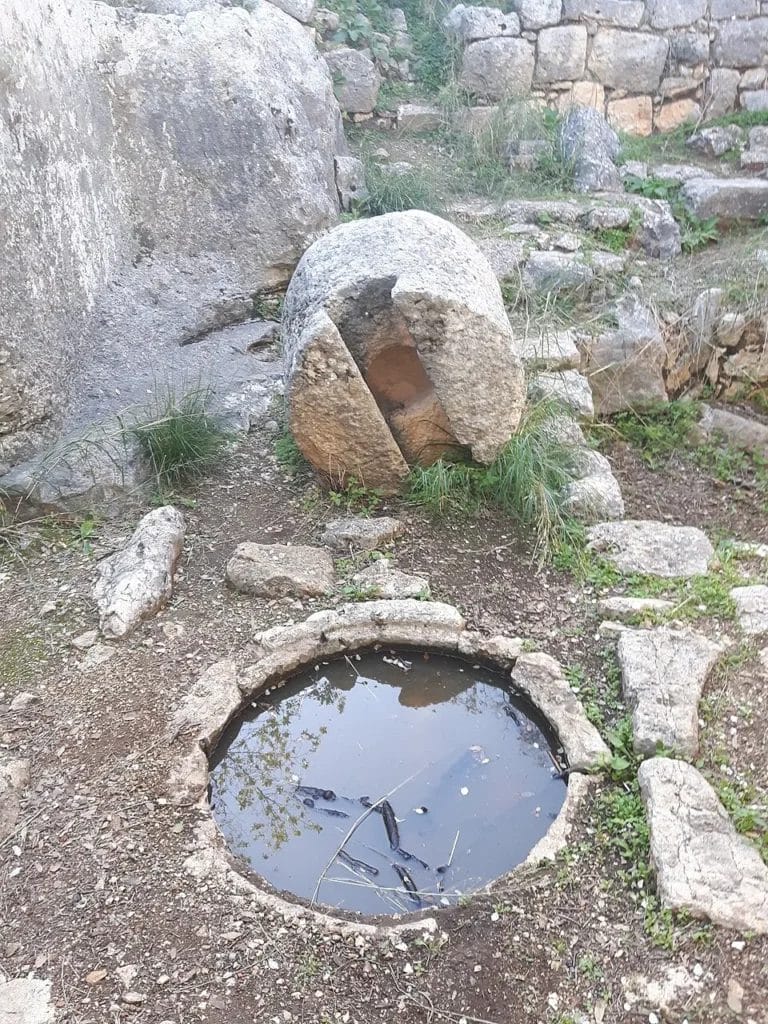Stone elements of a Byzantine oil press including crushing and pressing components