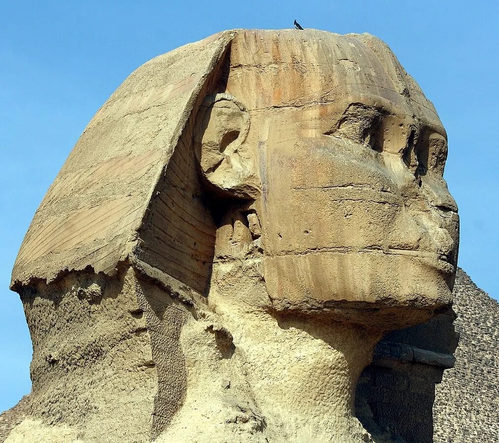 Close frontal view of the Great Sphinx of Giza with the nose missing, showing the break across the bridge.