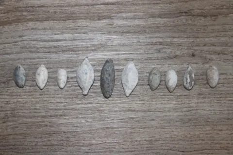 Small set of gray lead sling bullets photographed together, labeled Roman period.