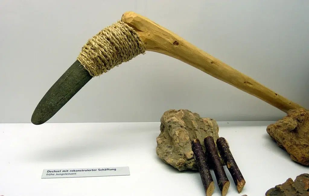 Displayed Neolithic adze with reconstructed hafting from the Krahuletz Museum, illustrating the shoe-last celt type implicated in LBK cranial trauma.
