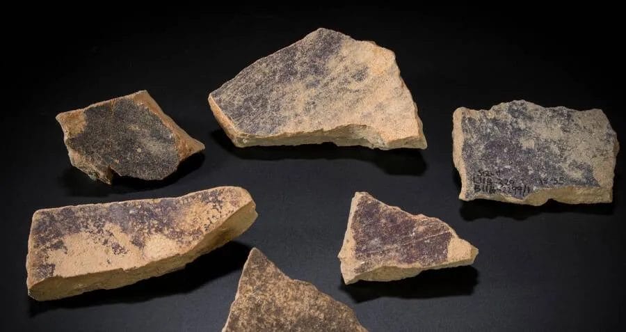 ceramic pottery purple dye residue chemical analysis