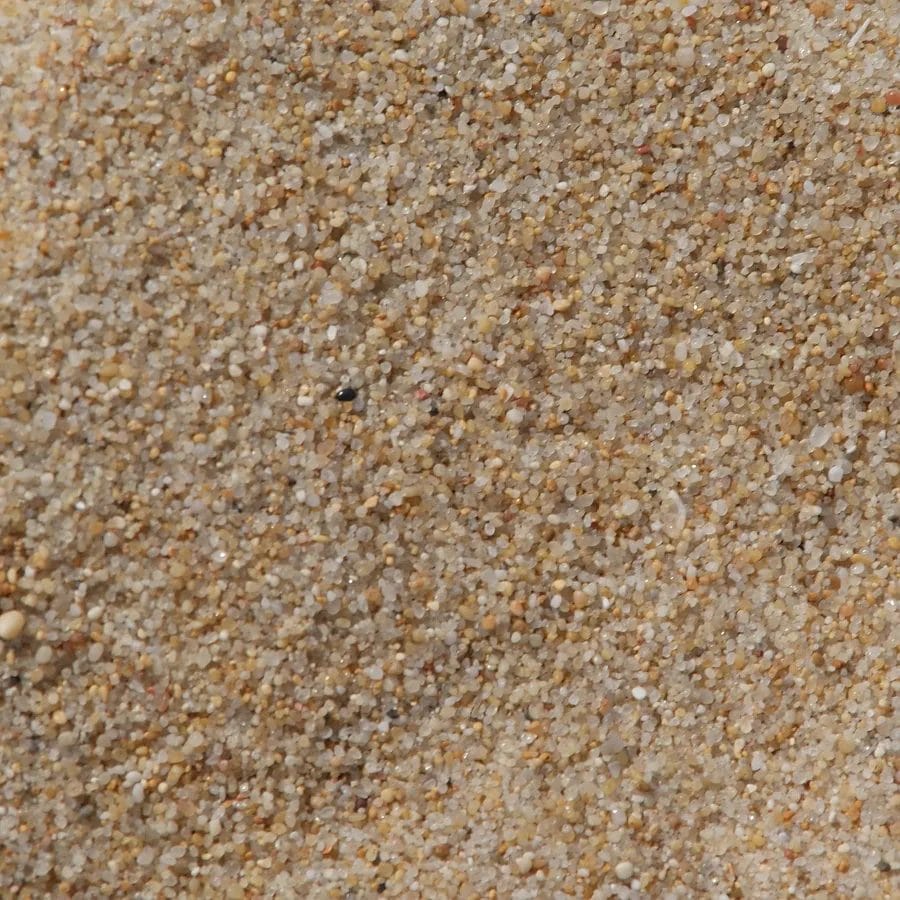 Close view of pale quartz sand grains showing rounded shapes and variable sizes.