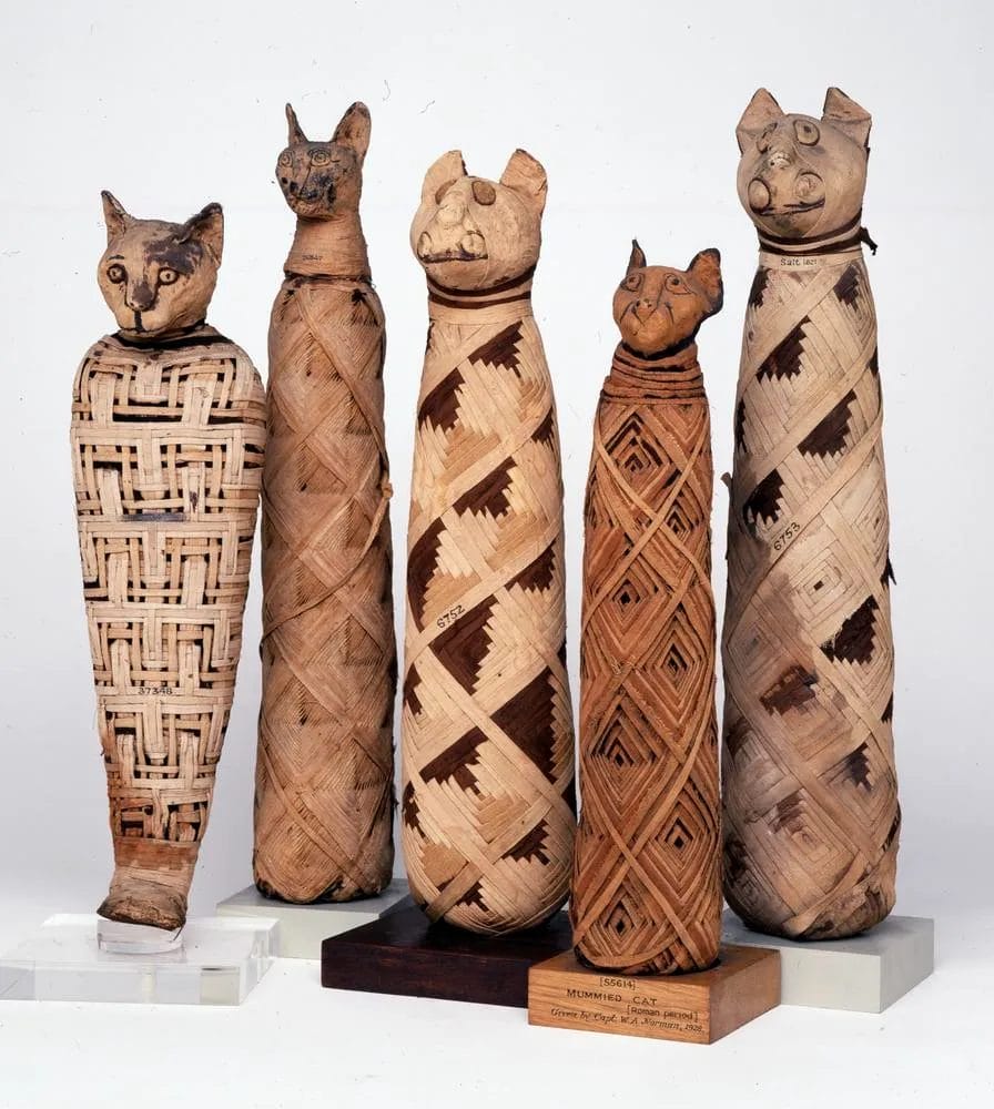 Ancient Egyptian cat mummy wrapped in light and dark brown linen strips forming lozenge pattern with painted features