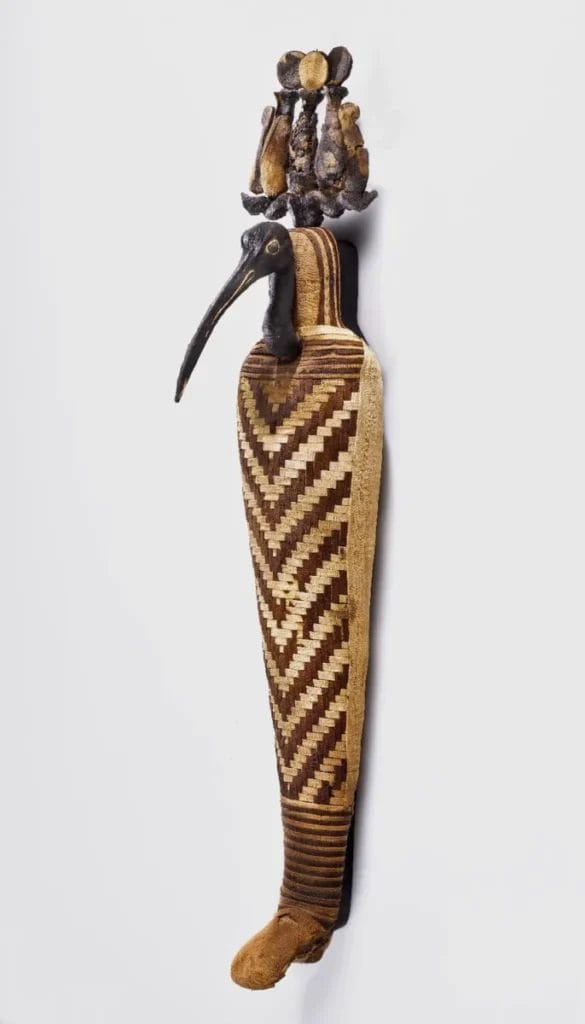 Ancient Egyptian ibis mummy wrapped in herringbone pattern brown and tan linen with crown
