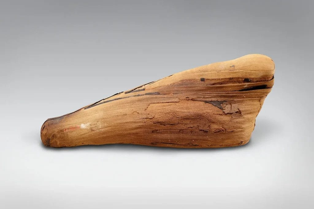 Ancient Egyptian ibis mummy wrapped in dark-dyed linen with black linear patterns