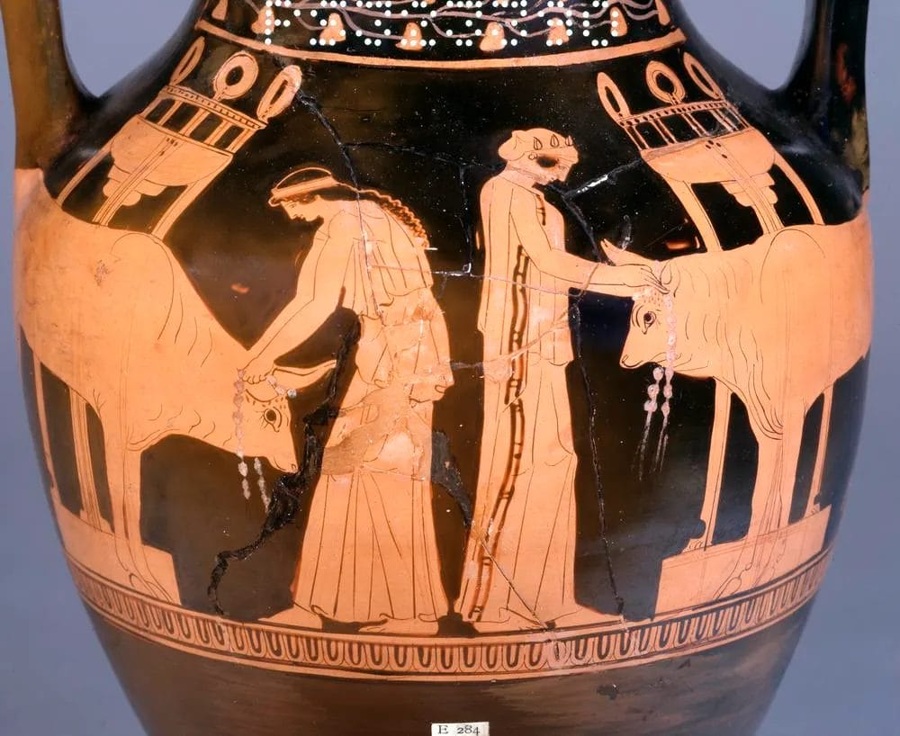 Ancient Greek black-figure amphora showing priests and attendants conducting an ancient sacrifice ritual with a bull at an altar from the British Museum.