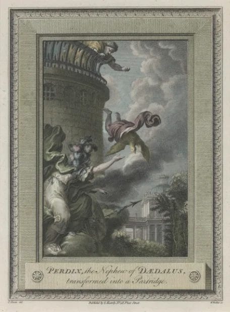 Goddess catches falling boy as he turns into a partridge