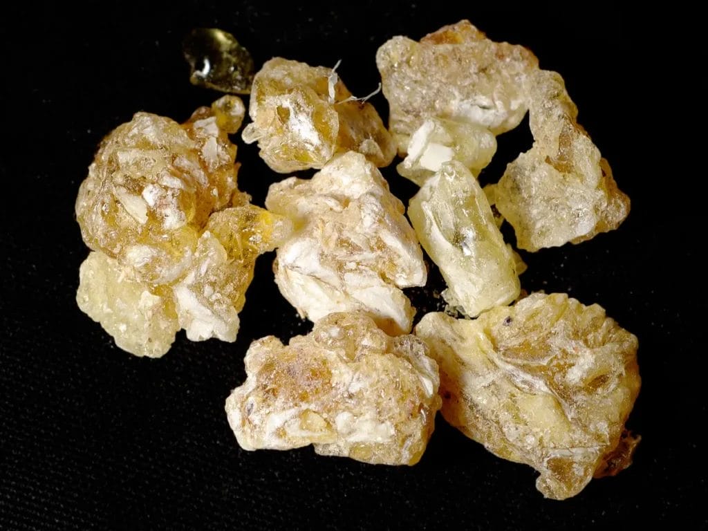 frankincense resin perfume technology steeping oil Egypt