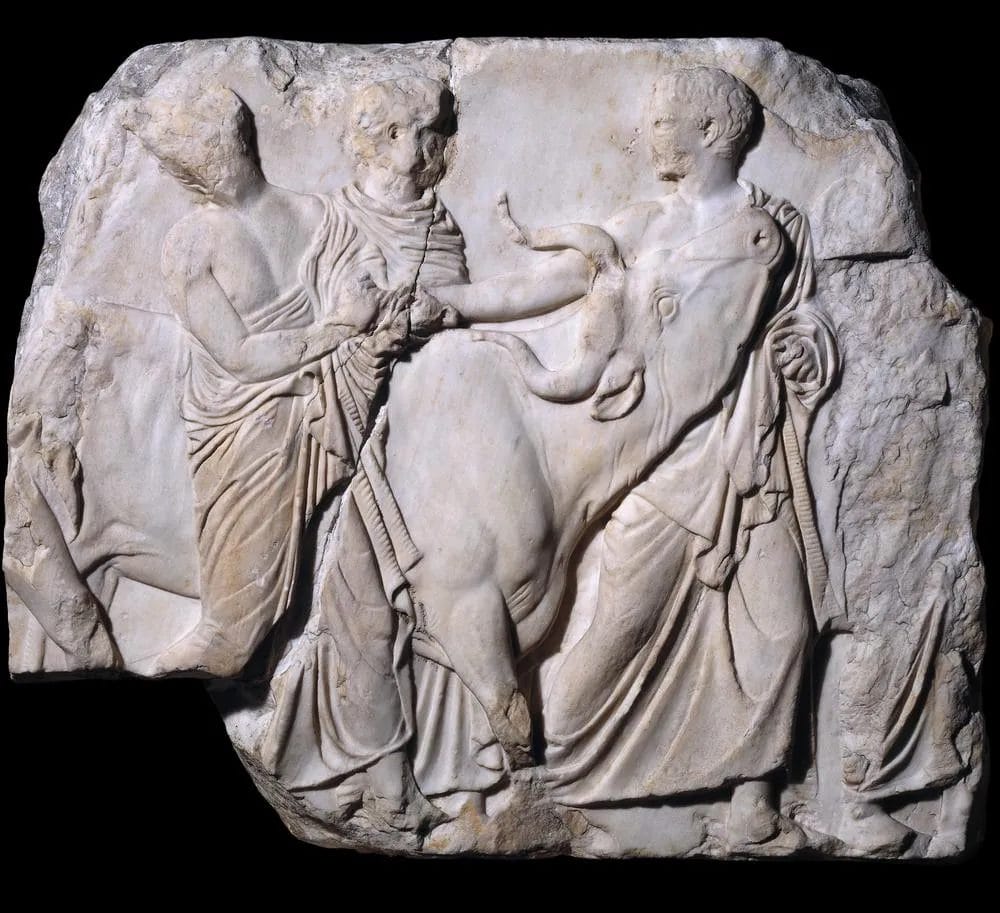 Marble relief from the Parthenon showing youths leading a decorated cow to sacrifice during the Panathenaic festival procession in Athens