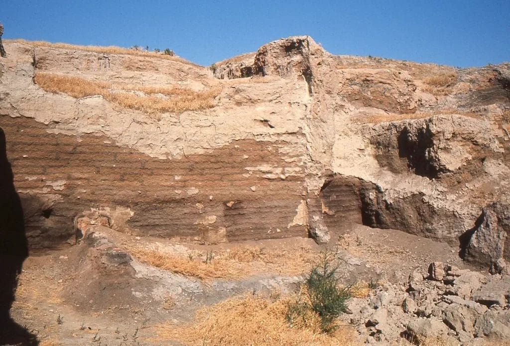 Archaeologists working in open trenches at Neolithic settlement