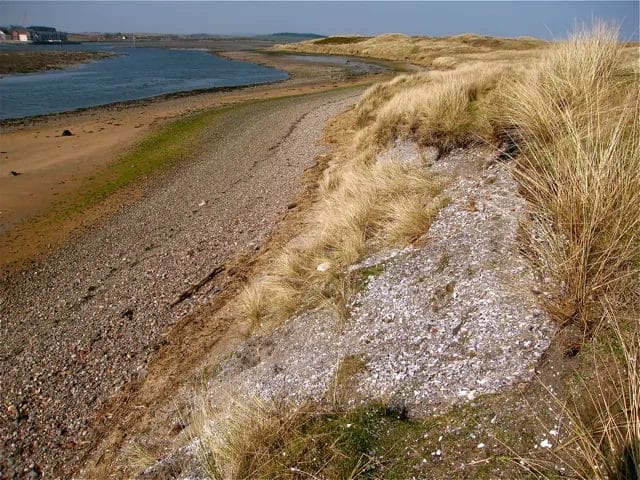 Eroding bank with shells from Ancient Garbage Dumps