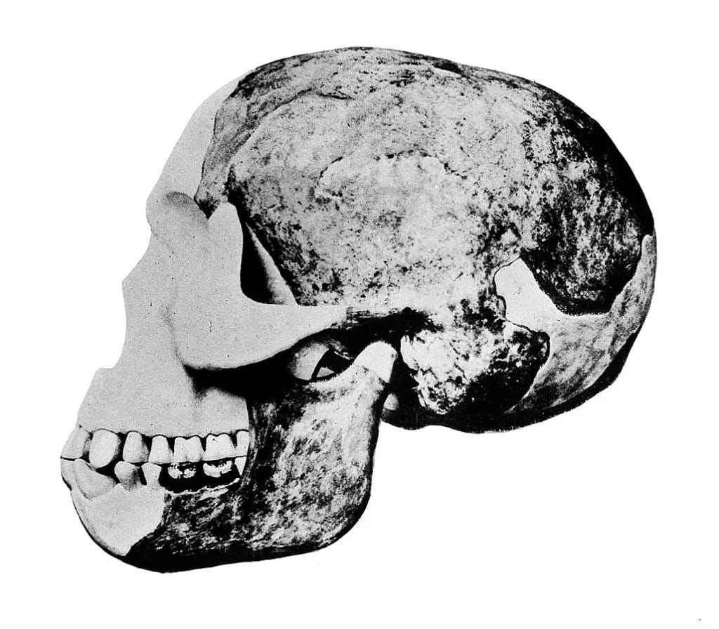 Piltdown Man skull hoax fossil Charles Dawson orangutan jaw