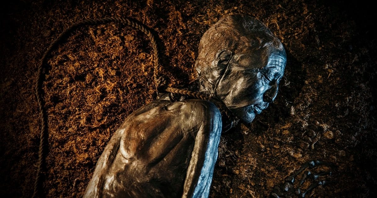 Tollund Man's preserved face and neck with noose still in place, a bog body recovered from a Danish peat bog