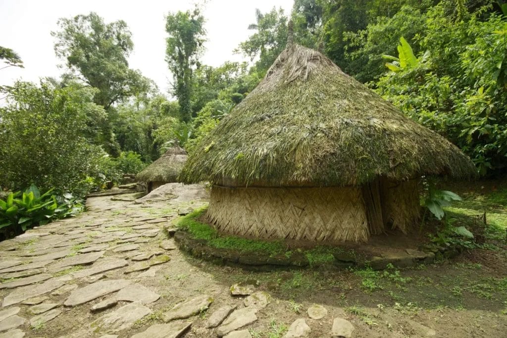 Circular stone terraces at Ciudad Perdida show the Tairona city hidden in Colombia’s jungle