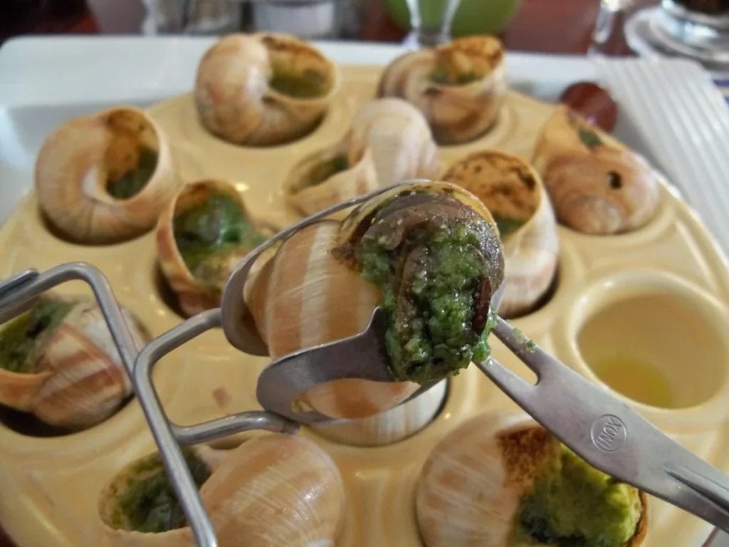 Cooked snails served as food, illustrating small delicacies among ancient Roman foods