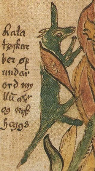 Ratatoskr beside manuscript text naming the squirrel on Yggdrasil in Norse myth