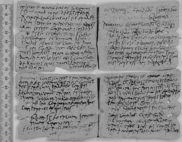 Vindolanda Tablets business letter from Octavius about cash, grain, hides, and frontier supply