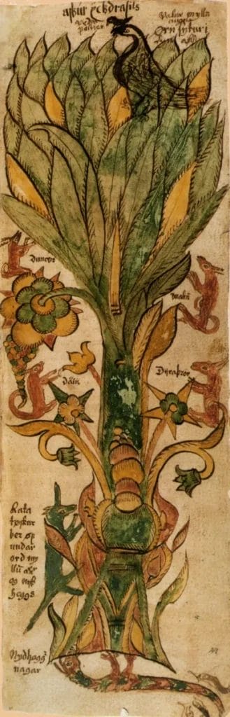 Yggdrasil with Ratatoskr, the eagle above, and the dragon below in a Norse manuscript image